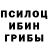 Псилоцибиновые грибы мухоморы ravenna wu