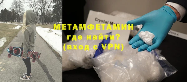 индика Дмитриев