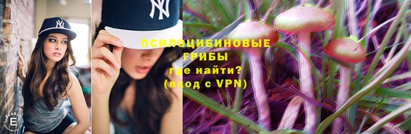 дмт Тихвин