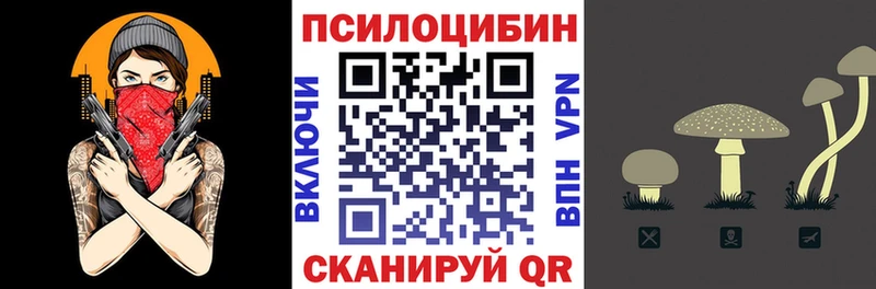 Псилоцибиновые грибы Magic Shrooms дарк нет клад Данков